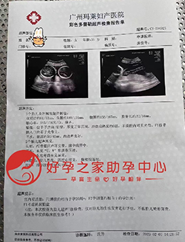 好孕之家恭喜廖总龙凤胎2023又一对