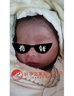 好孕之家恭喜广东胡总，喜获小公子一枚